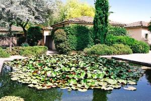 gite saint remy de provence : les jardins de Fontanille