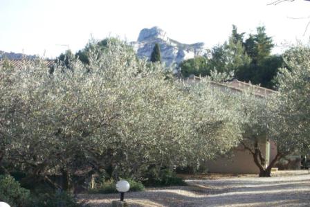 self-catering rental saint remy de provence : les jardins de Fontanille