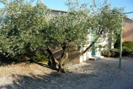 gite piscine saint remy de provence : les jardins de Fontanille